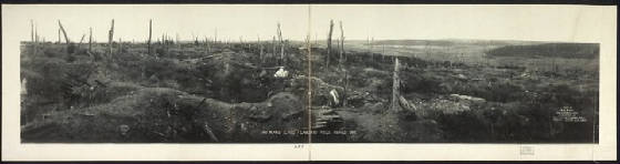 In Flander's Field 1919